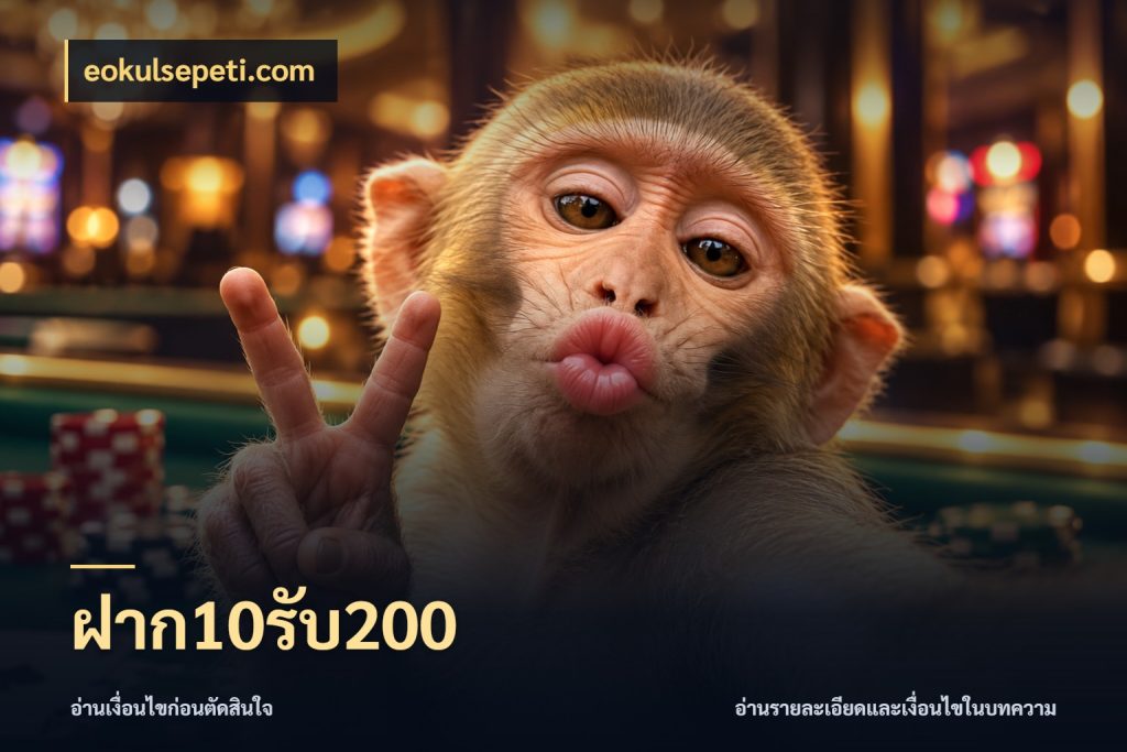 ฝาก10รับ200 โปรกับเกมที่ชอบเลือกให้ตรงสไตล์ สไตล์ eokulsepeti.com