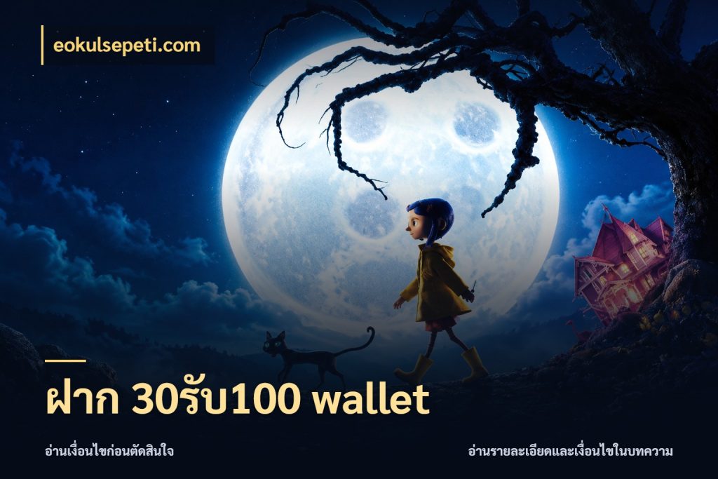 ฝาก 30รับ100 wallet สายโบนัสเลือกจังหวะสนุกได้อย่างไร ในมุม eokulsepeti.com