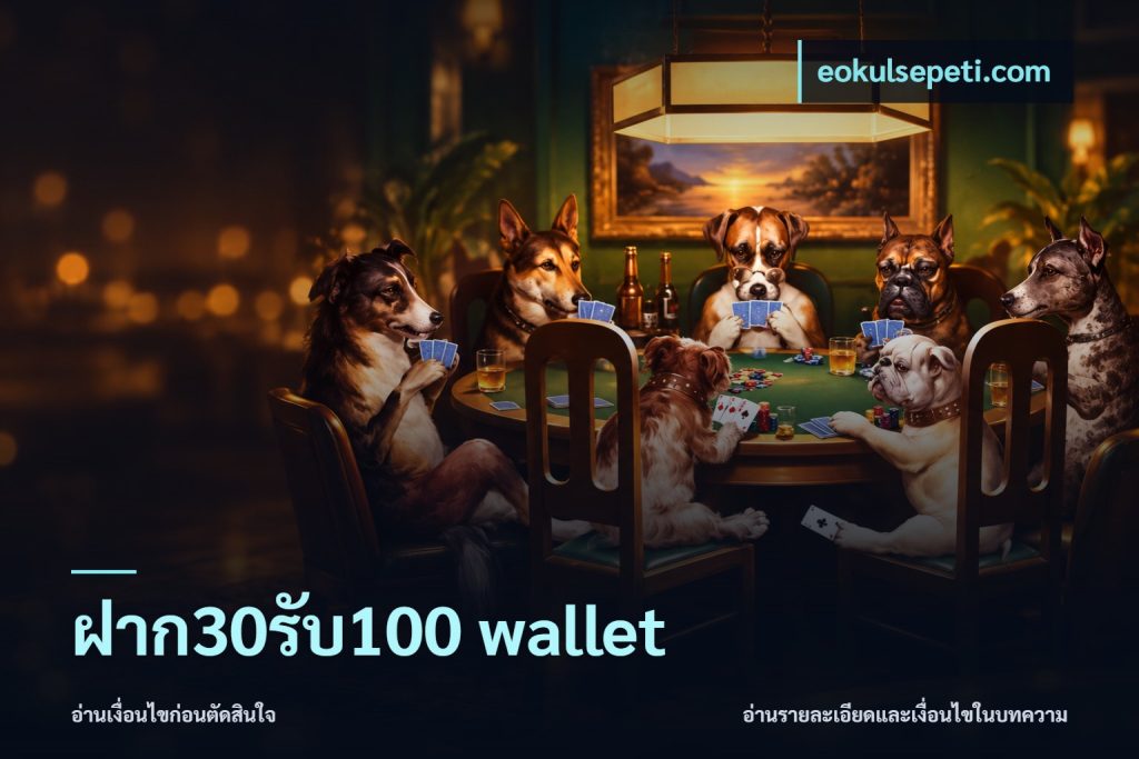 ฝาก30รับ100 wallet